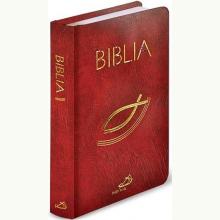 Biblia - Stary i Nowy Testament, 9788377975756