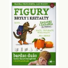 Figury, bryły i kształty. Zagadki i zadania na wesoło, 9788366730342