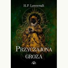 Przyczajona groza, 9788377314708