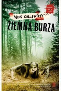 Ziemna burza