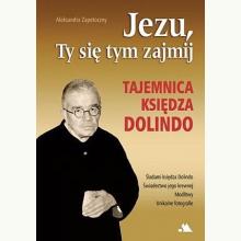 Jezu, Ty się tym zajmij. Tajemnica księdza Dolindo, 9788378640943