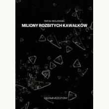 Miliony rozbitych kawałków, 9788395015892